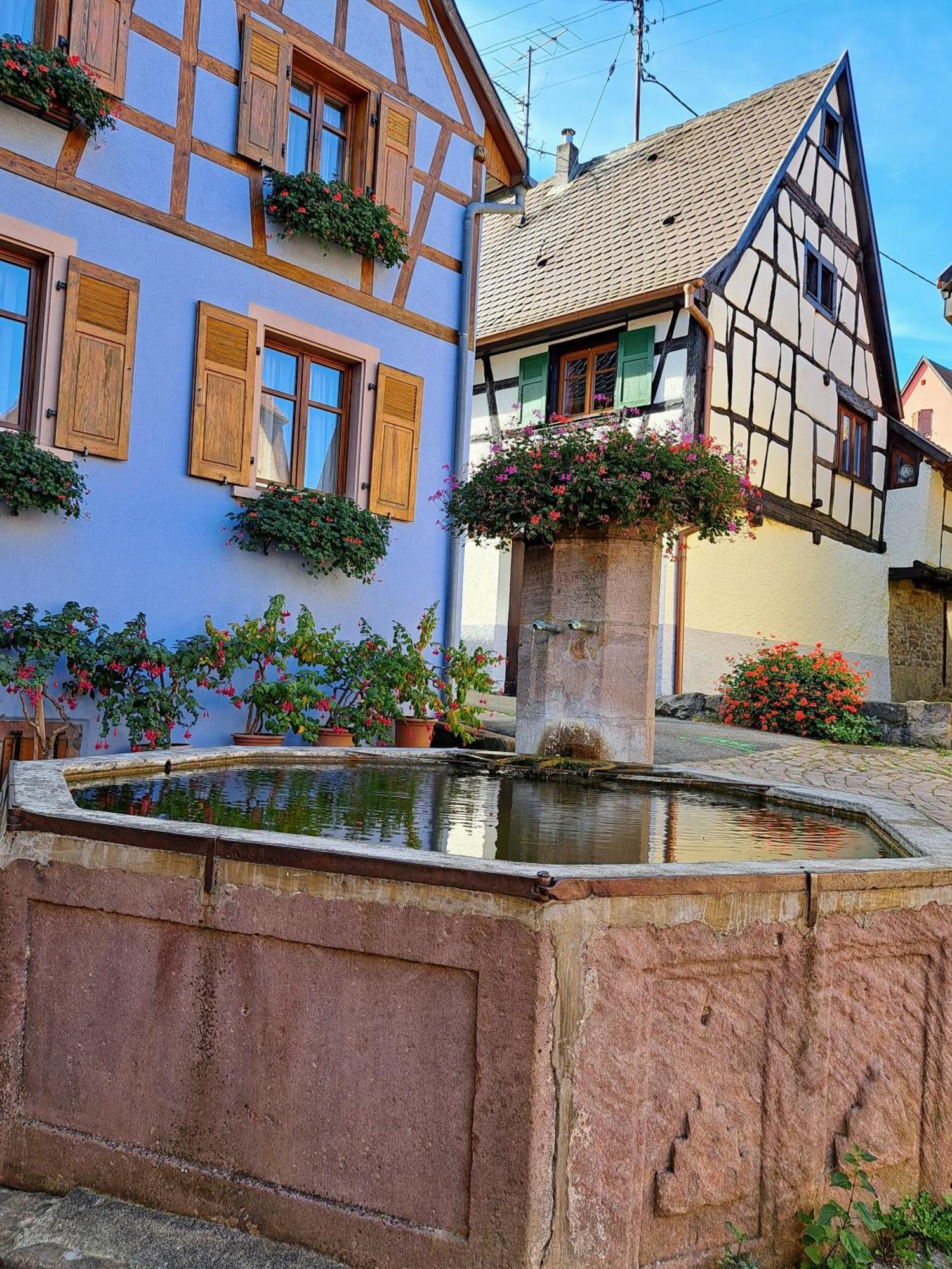 Grand Gite Dans Maison Alsacienne Historique Gueberschwihr Exterior photo